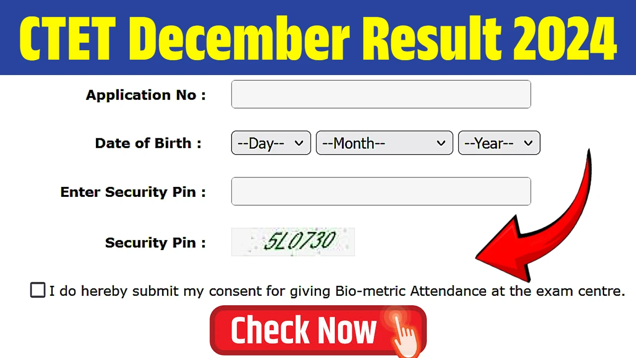 CTET December Result