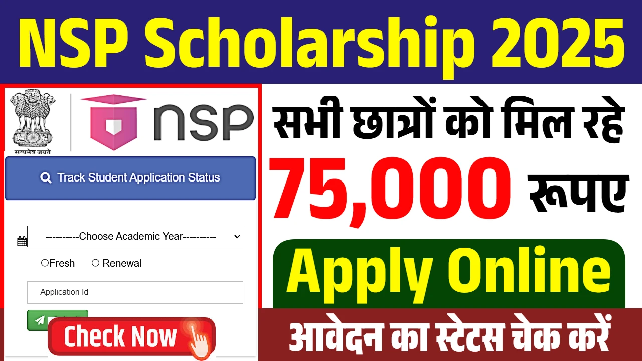 NSP Scholarship